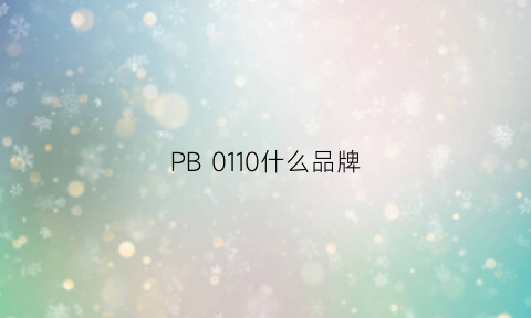 PB0110什么品牌(pbo是什么牌子)